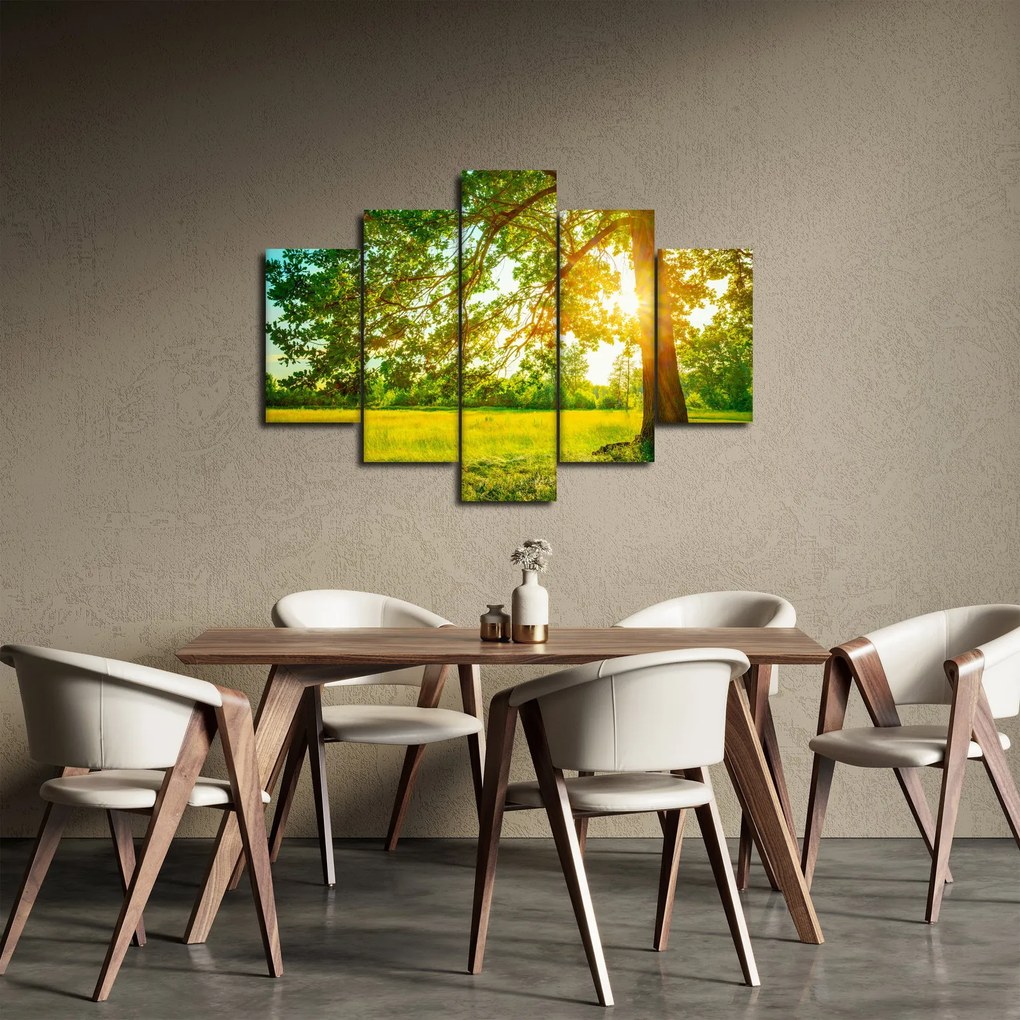 Obraz - Slnečný les (150x105 cm)