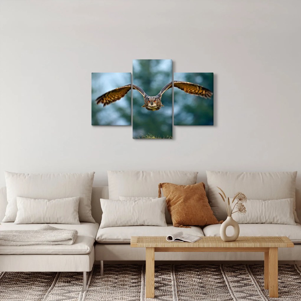 Obraz - Sova pri lete (90x60 cm)
