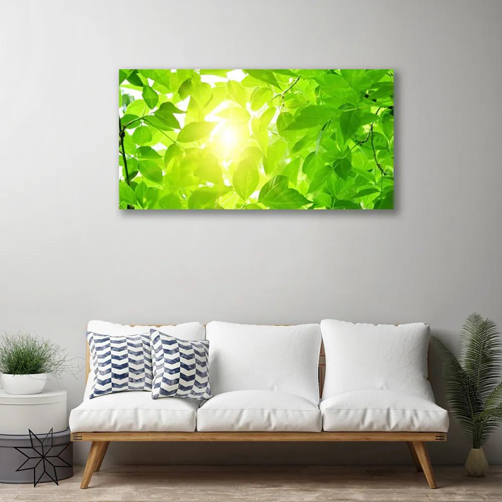 Obraz Canvas Listy príroda slnko rastlina 140x70 cm