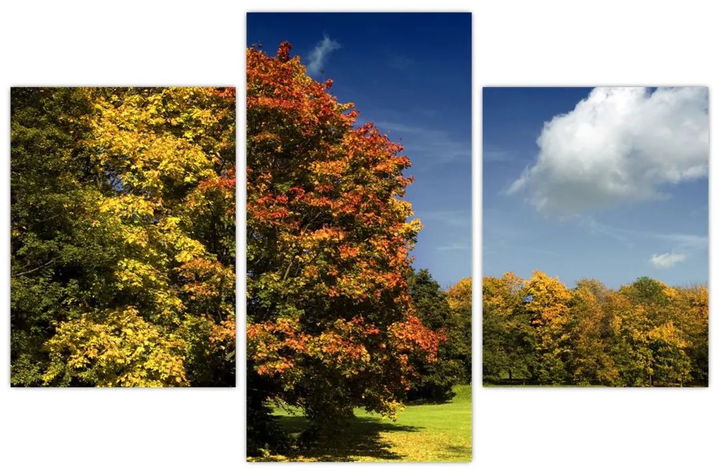 Jesenná krajina, obraz