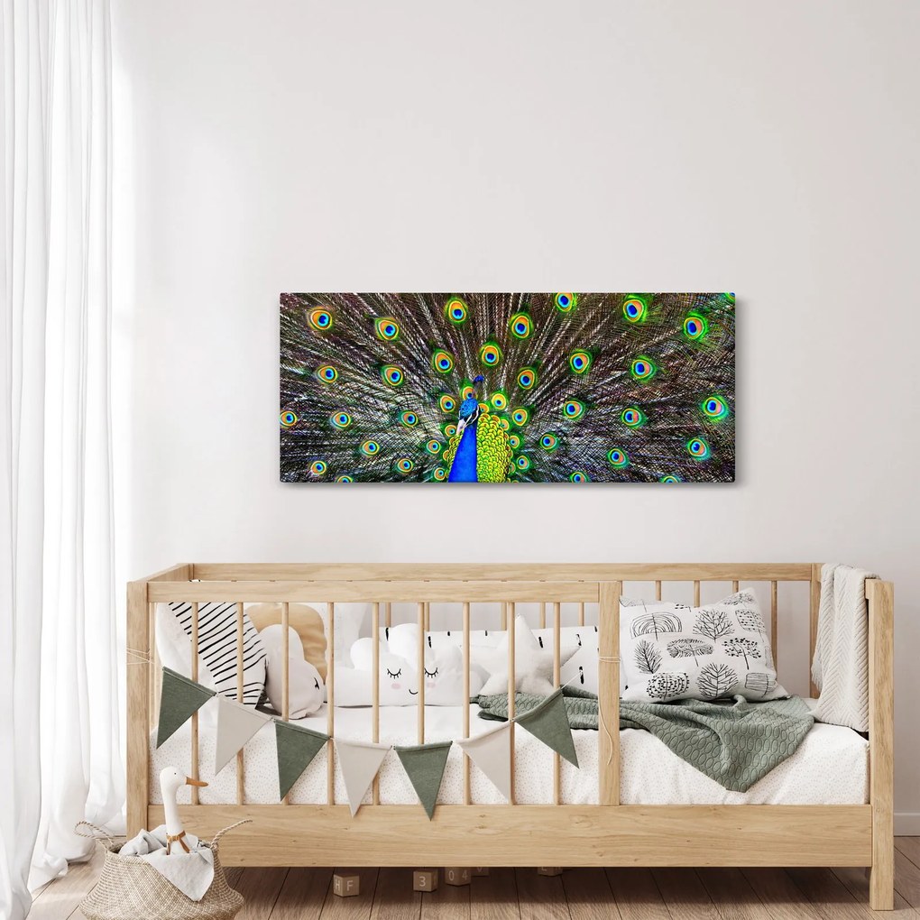 Obraz - Páv (120x50 cm)