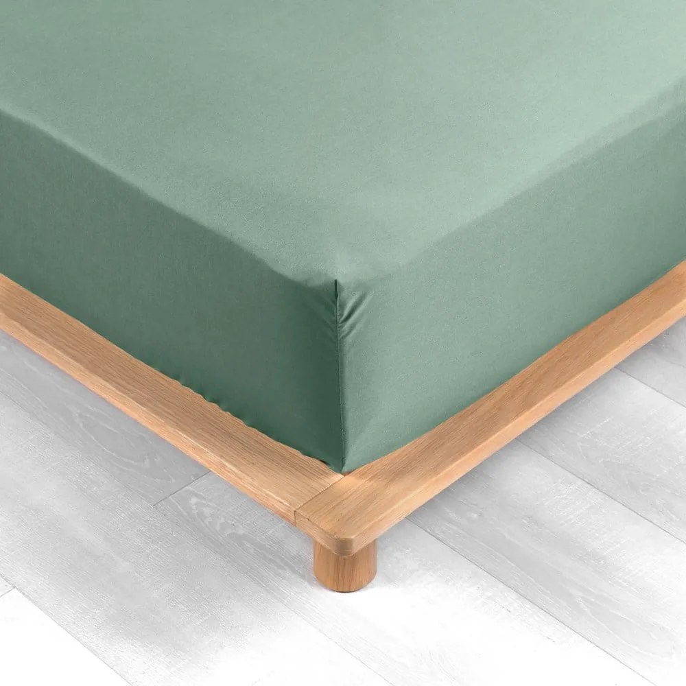 Zelená napínacia plachta z bavlneného perkálu 180x200 cm Percaline – douceur d'intérieur