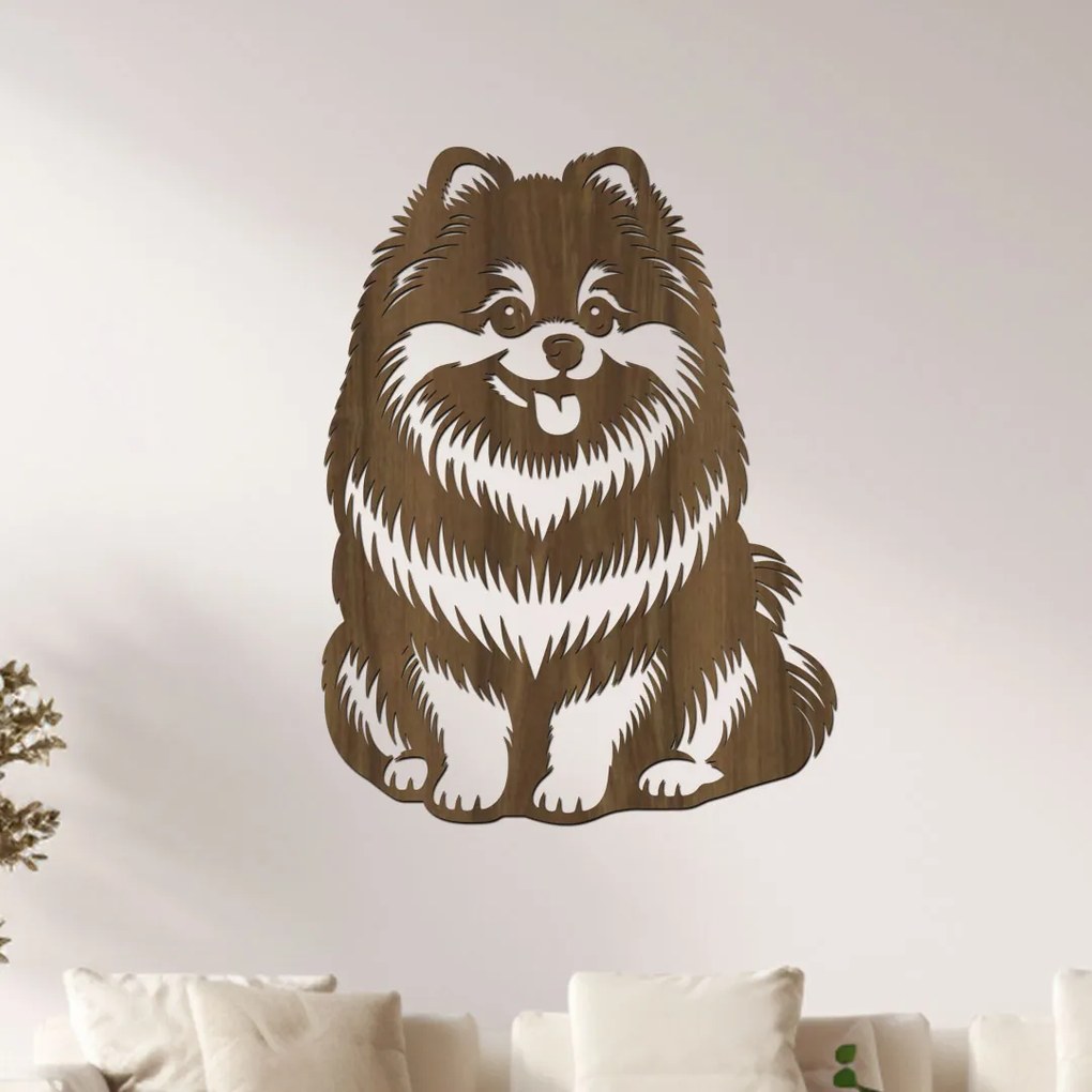 dřevo života Drevený obraz psa Pomeranian Rozmery - cm: 30x40, Zvoľte farbu dekoru: Orech