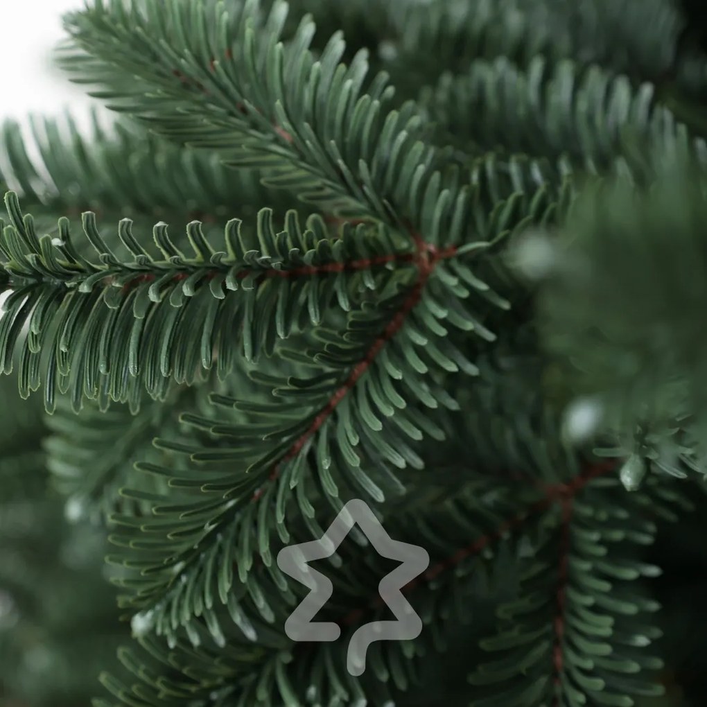 Smrek Oregon extra hustý 180 cm