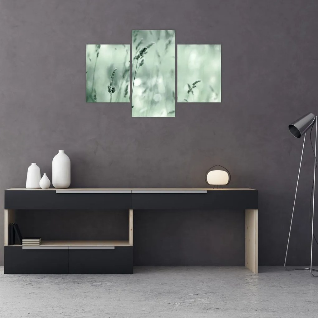 Obraz - Zelená lúka (90x60 cm)