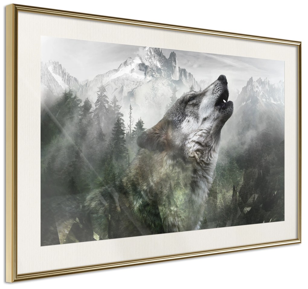 Artgeist Plagát - Howling Wolf [Poster] Veľkosť: 30x20, Verzia: Čierny rám s passe-partout