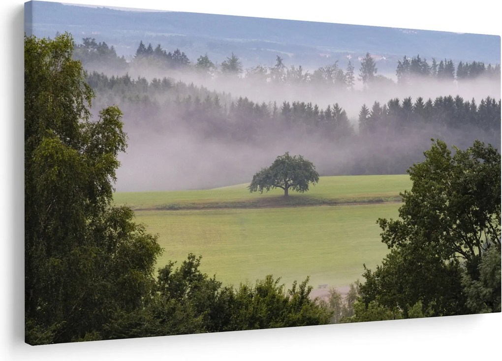 Obraz lúky so stromom (90x60 cm)
