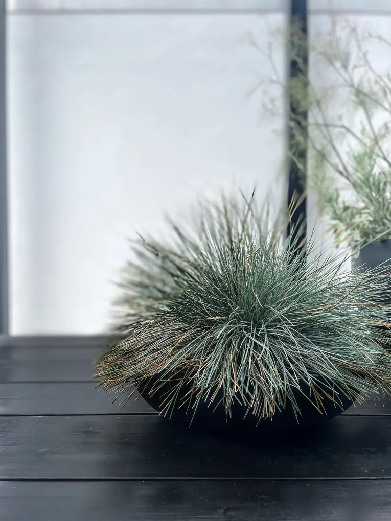 Okrasná miska PLANA, sklolaminát, 9xØ34 cm, antracit