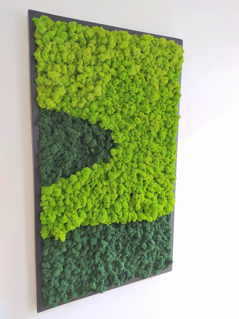 Machový obraz v čiernom ráme 135cm x 65cm