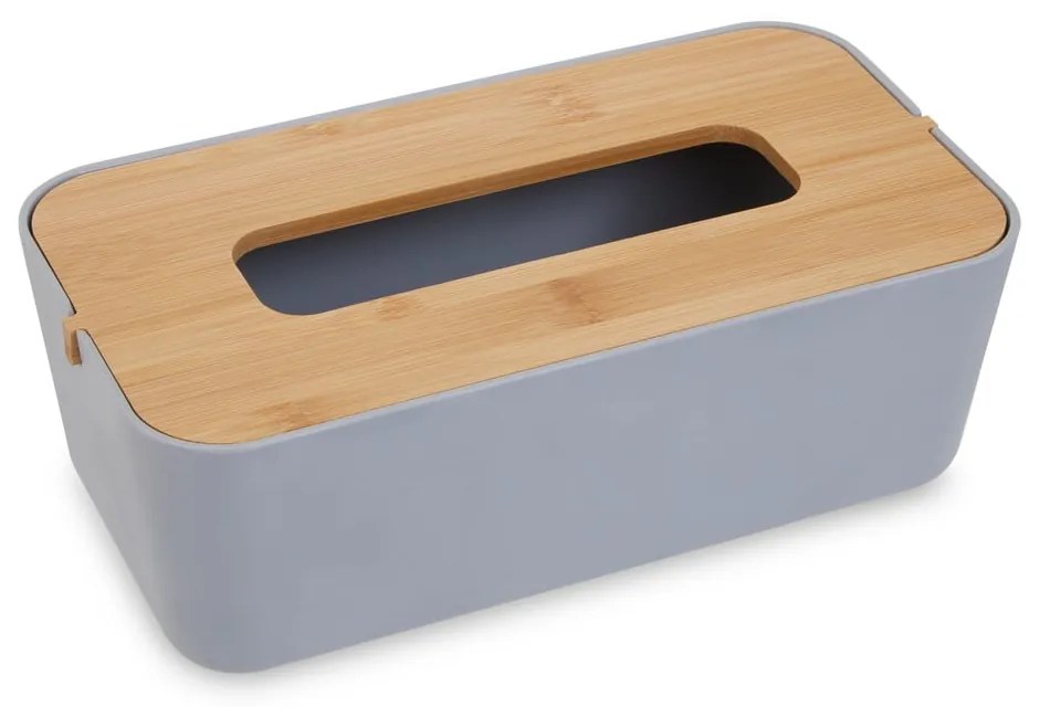 Plastový box na vreckovky Canyon – Premier Housewares