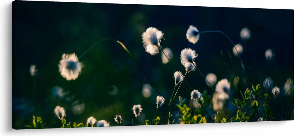 Obraz - Tráva (120x50 cm)