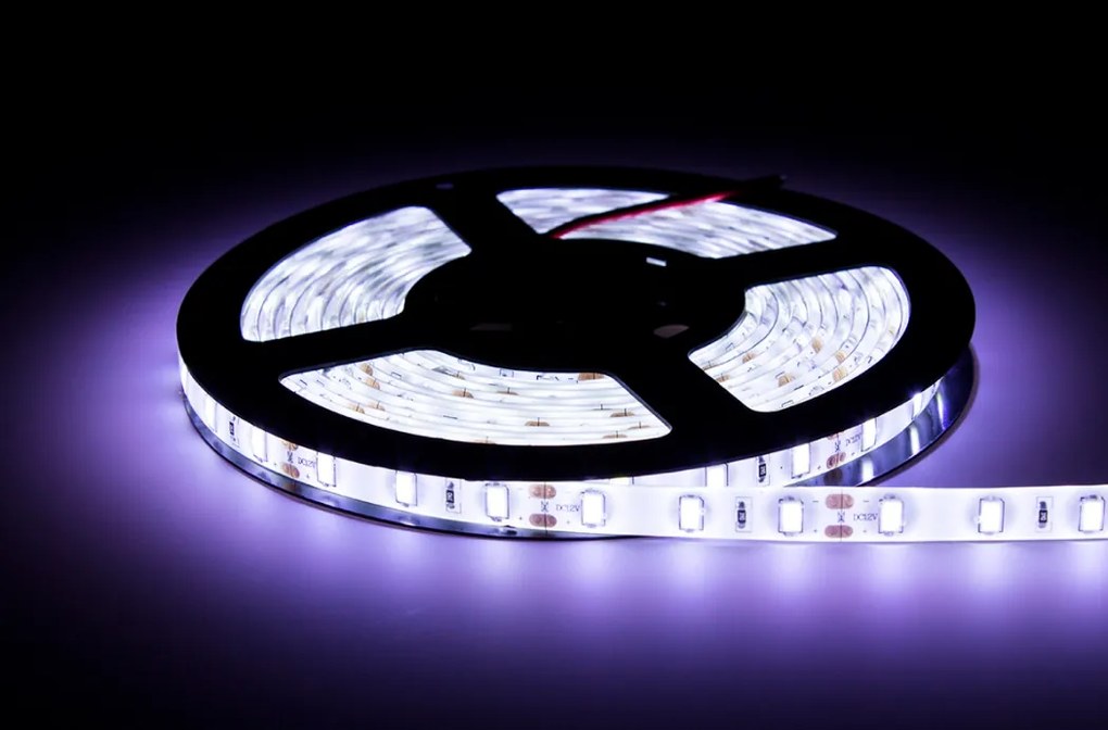 ECOLIGHT LED pásik - SMD 5630 - 5m - 60LED/m - 18W/m - IP65 - studená biela