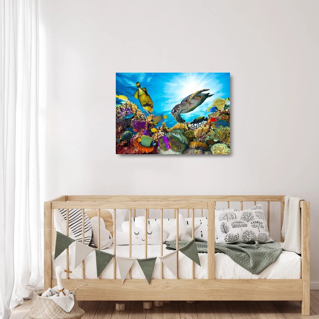 Sklenený obraz koralového útesu (70x50 cm)