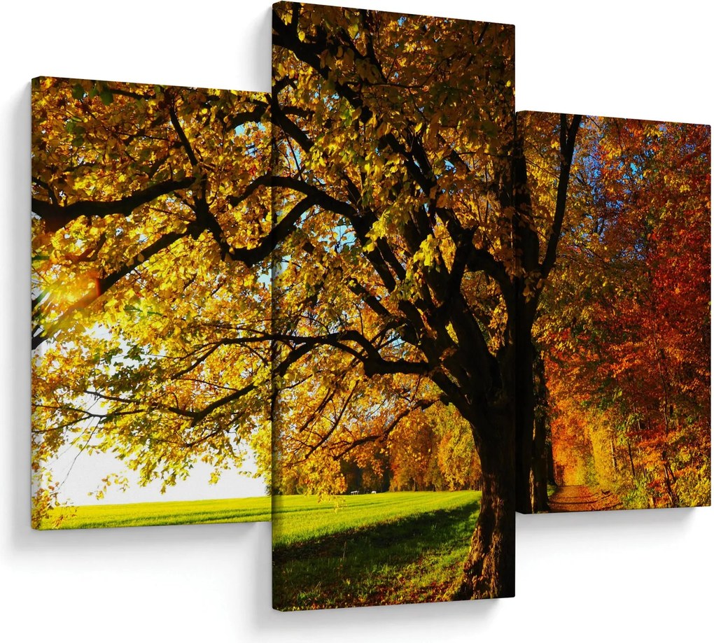 Obraz jesene (90x60 cm)