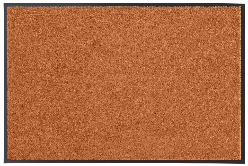 Hanse Home, Rohožka Wash & Clean 101469 Orange, 40x60, oranžová, chodba / predsieň