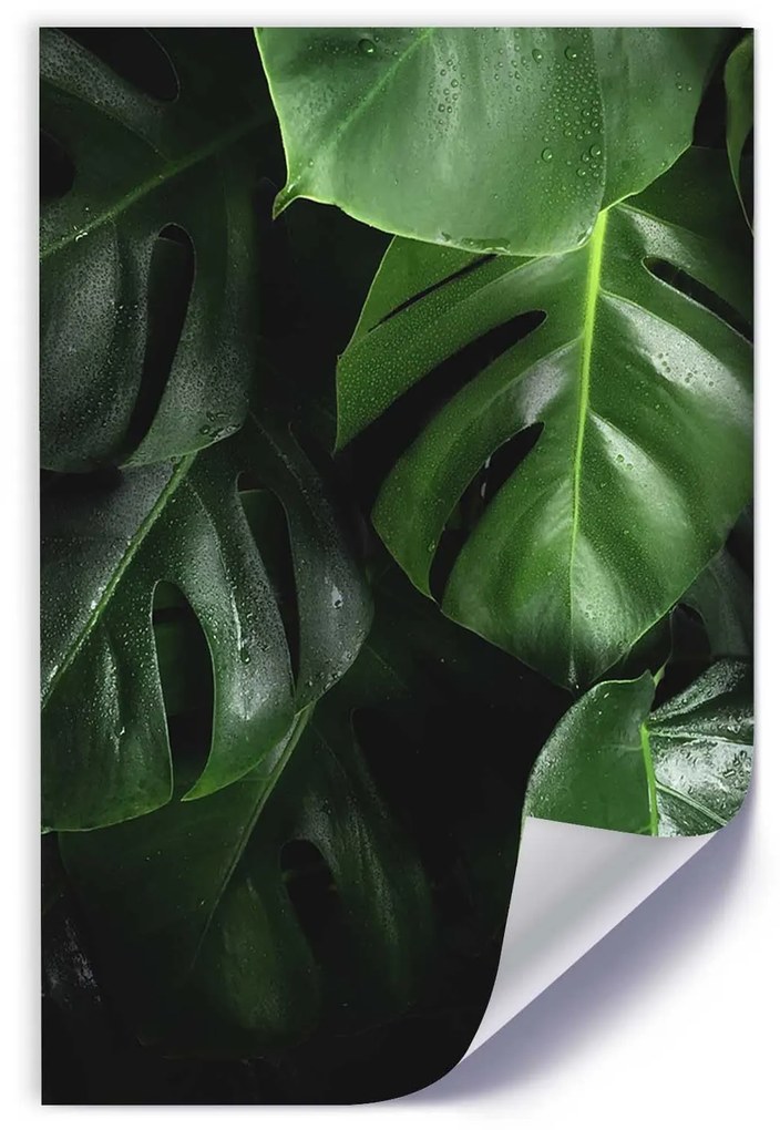 Gario Plagát Šťavnatá zelená Farba rámu: Bez rámu, Rozmery: 40 x 60 cm