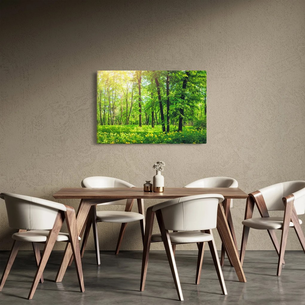 Obraz - Jarný listnatý les (90x60 cm)