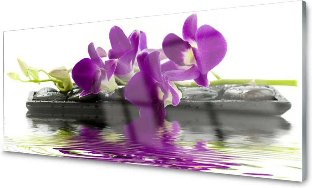 Skleněný obraz Květiny rostlina příroda