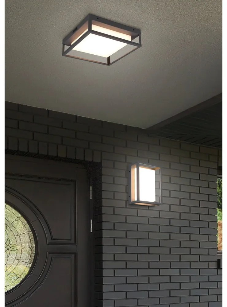 LED nástenné vonkajšie svietidlo (výška 10 cm) Witham - Trio