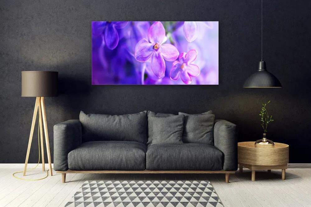 Obraz plexi Fialové kvety príroda 120x60 cm