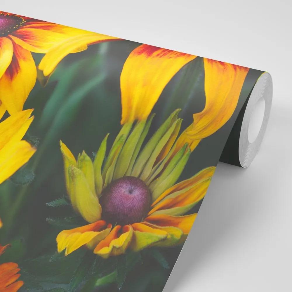 Samolepiaca fototapeta dvojfarebné kvety - 150x100