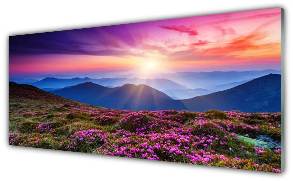 Obraz na akrylátovom skle Hora lúka kvety príroda 125x50 cm