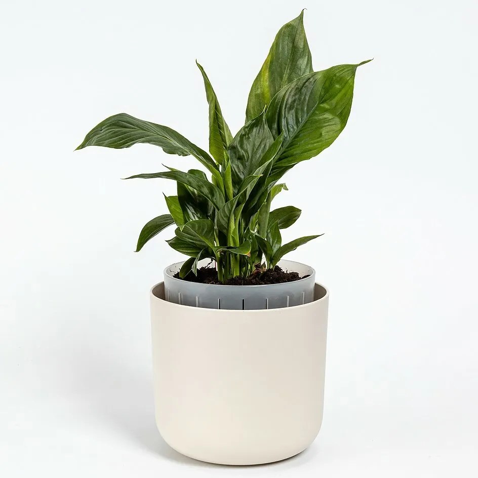 Plastia Samozavlažovací kvetináč Tolita Air krémová, pr. 19 cm, pr. 19 cm