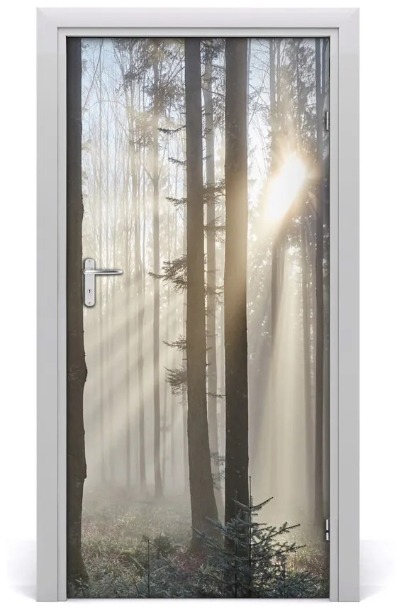 Fototapeta na dvere hmla v lese 85x205 cm