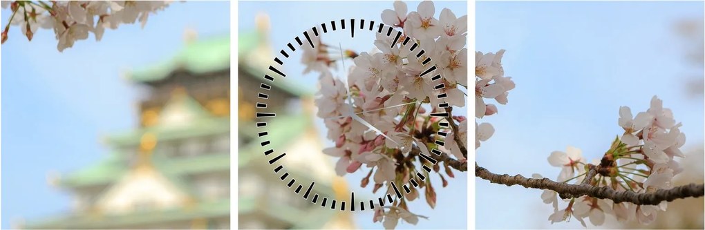 Obraz - Sakura (s hodinami) (90x30 cm)