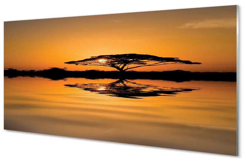 Nástenný panel  Sunset tree 100x50 cm