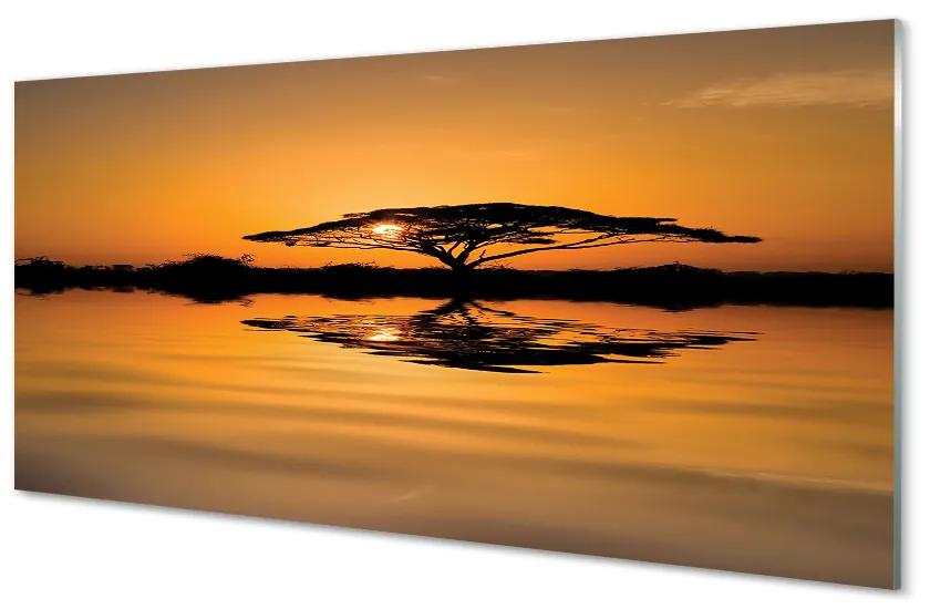 Nástenný panel  Sunset tree 120x60 cm