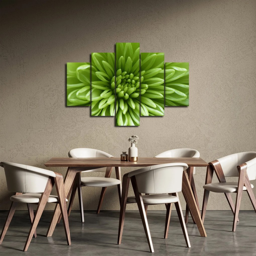 Obraz - Makro snímka rastliny (150x105 cm)