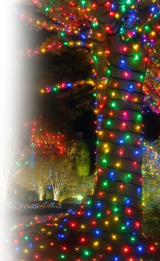 Vianočné svetielka vonkajšie FLASH multicolor 300 LED