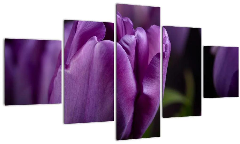 Obraz kvetov tulipánov (125x70 cm), 40 ďalších rozmerov