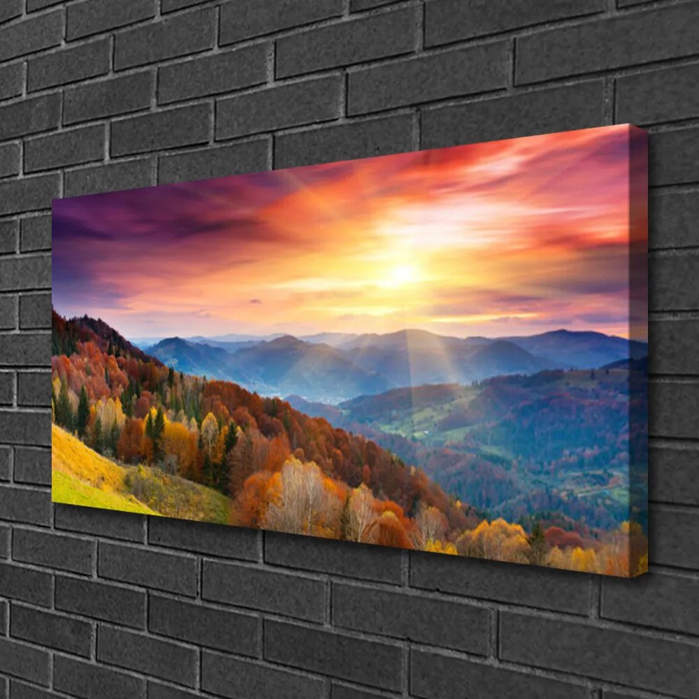 Obraz Canvas Hora les slnko krajina 125x50 cm