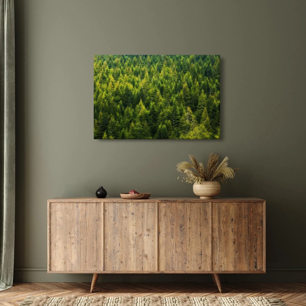 Obraz - Hustý les (90x60 cm)