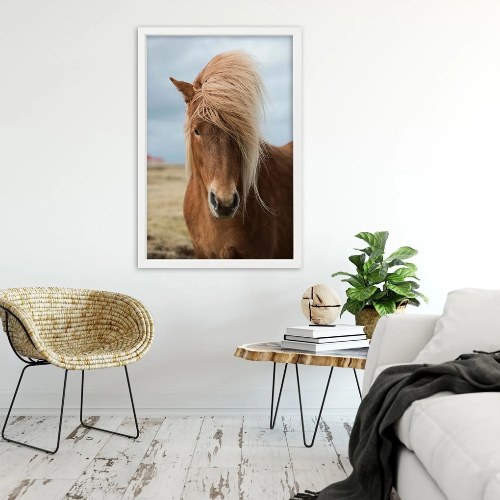 Gario Plagát Kôň s dlhou hrivou Farba rámu: Bez rámu, Rozmery: 30 x 45 cm