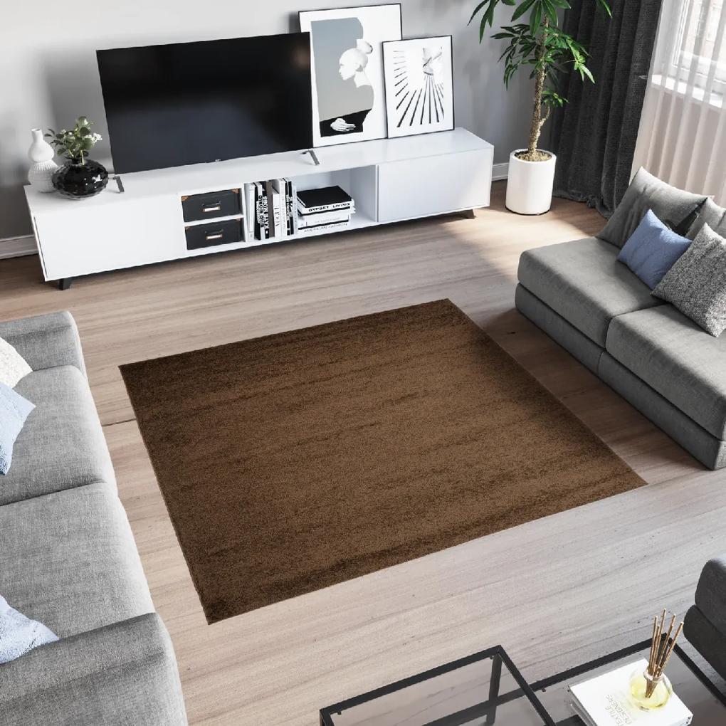 Dizajnový koberec DESERT - SHAGGY ROZMERY: 160x160