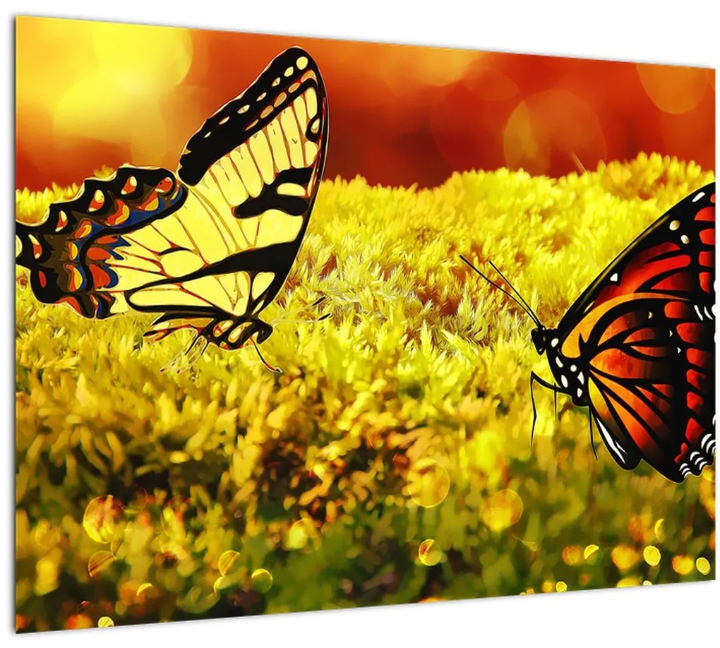 Sklenený obraz motýľov (70x50 cm)