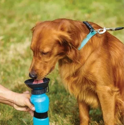 Zaparkorun Cestovná fľaša pre psy s miskou - 500 ml - DOGS Collection