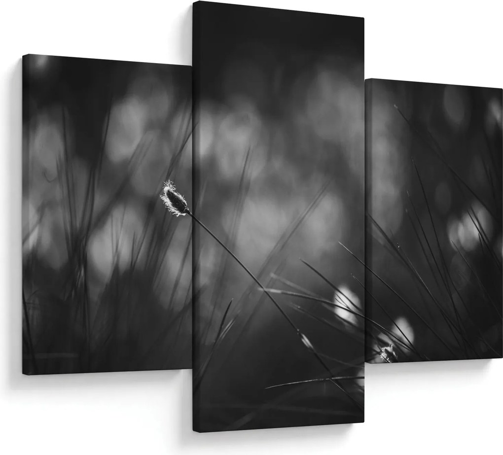 Obraz - Lúčna tráva (90x60 cm)