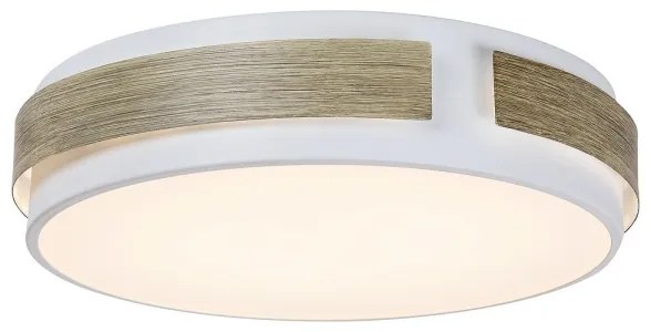 Rabalux 5646 - LED Stmievateľné stropné svietidlo SALMA LED/24W/230V