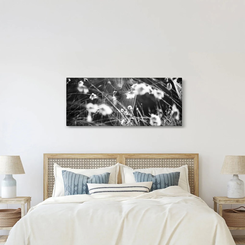 Obraz - Pavučina na lúke (120x50 cm)