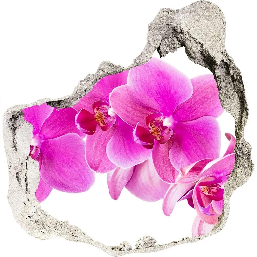 Samolepiaca diera nálepka Ružová orchidea WallHole-75x75-piask-67673367