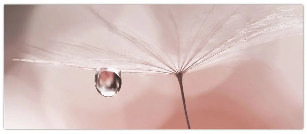Obraz - Kvapka rosy (120x50 cm)