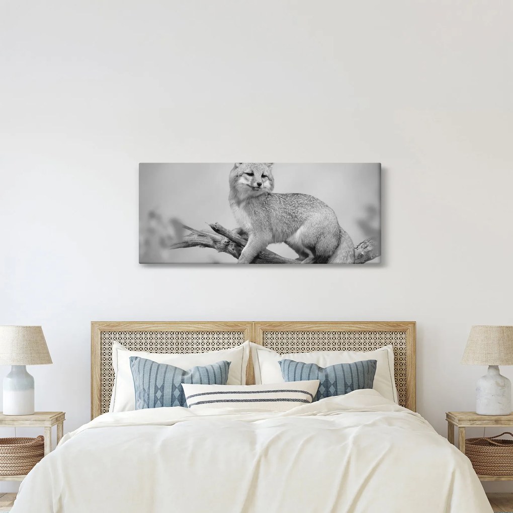 Obraz - Líška šedá (120x50 cm)