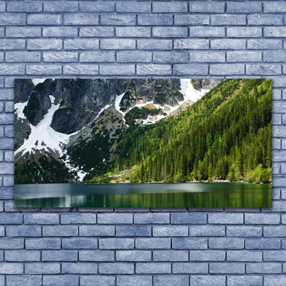 Obraz plexi Jazero les hory príroda 120x60 cm