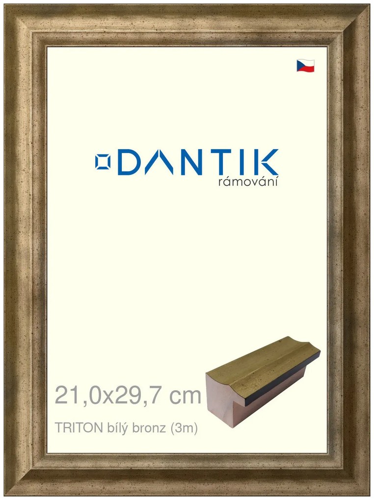 DANTIK rám na obraz 21x29,7 | TRITON bílý bronz (Sklo Čiré)