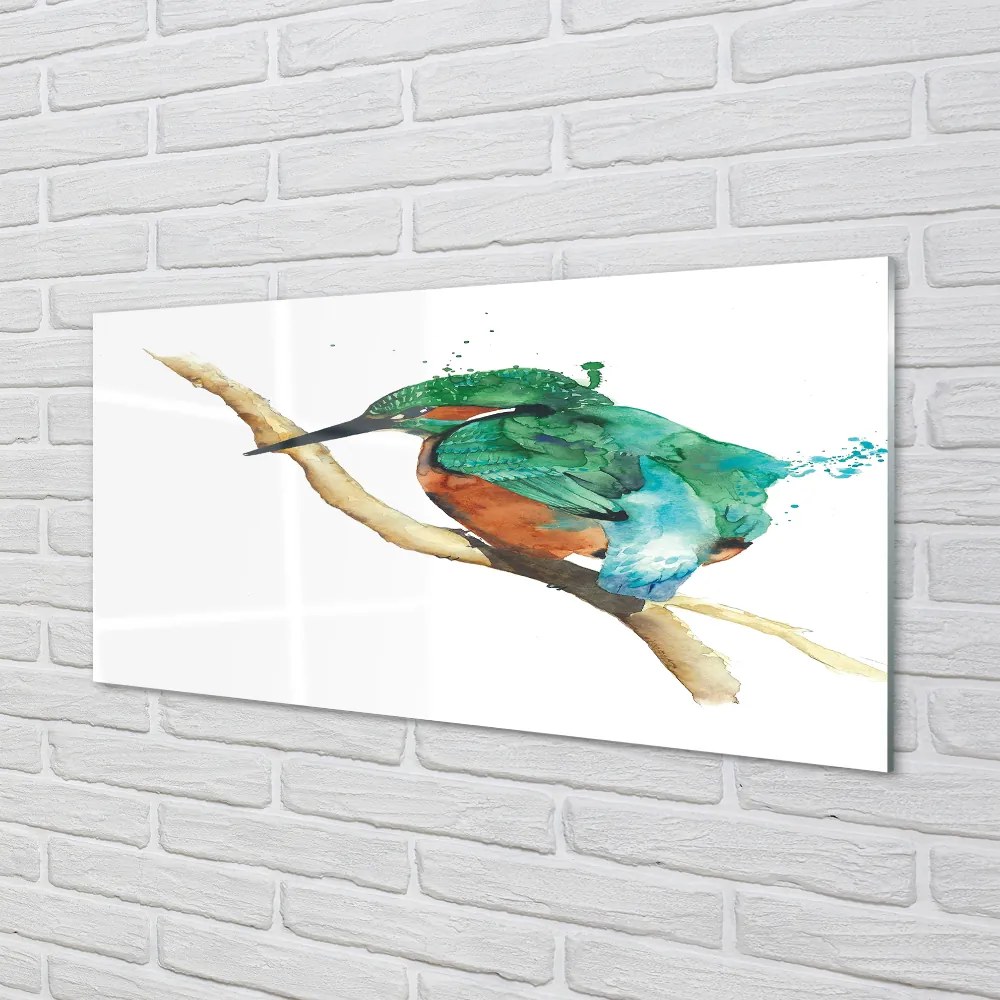 Nástenný panel  Farebné maľované papagáj 100x50 cm