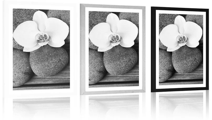 Plagát s paspartou wellness kamene a orchidea na drevenom pozadí v čiernobielom prevedení - 20x30 white